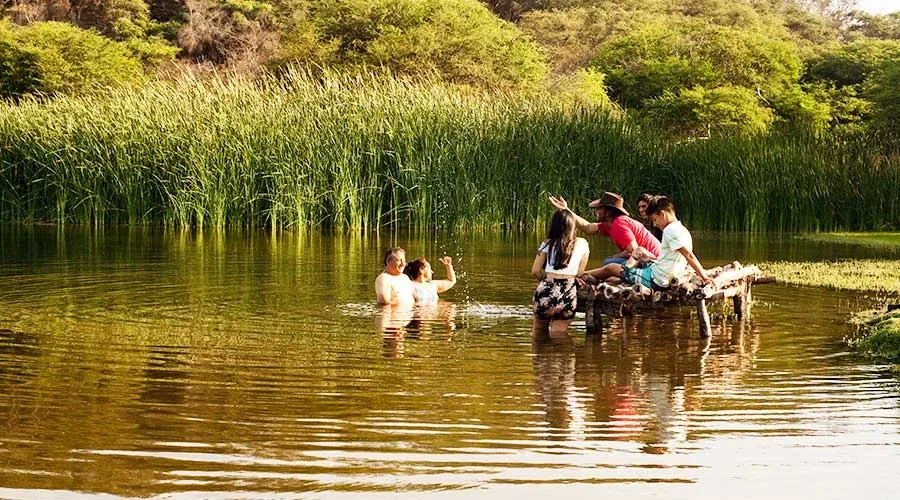 Visitantes dentro del agua, entre los juncos de la laguna