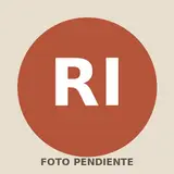 Retrato de Rachel Ihle