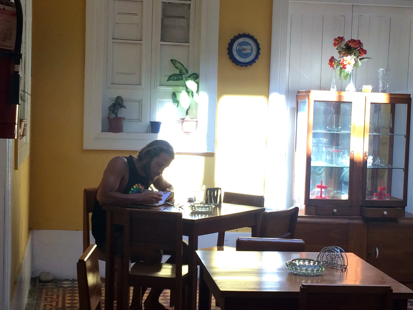 A guest reading by the dining room window